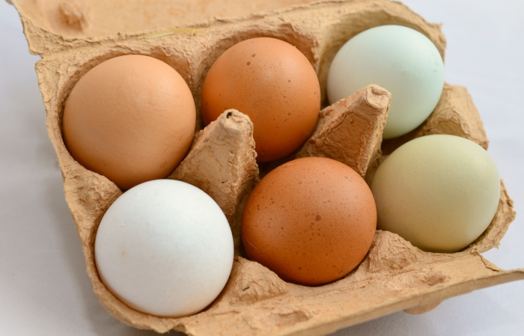 Trứng - một trong các thực phẩm giàu vitamin B