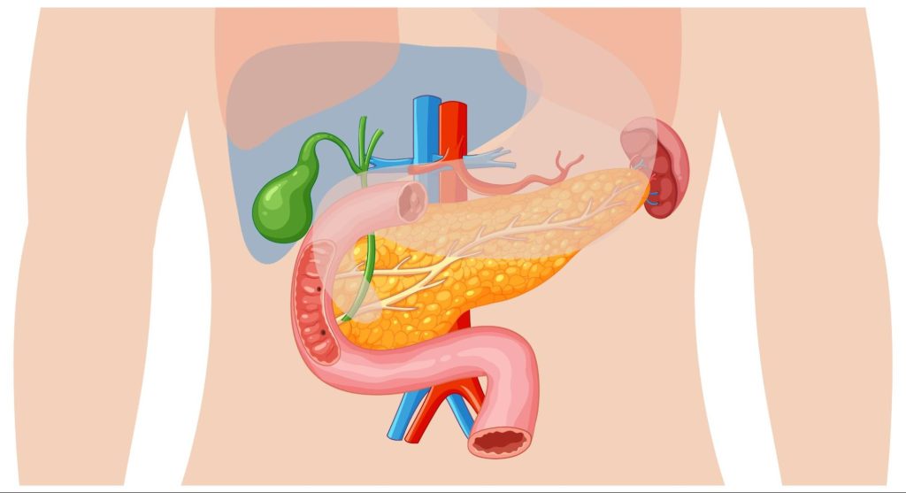 Đầy bụng khó tiêu - tình trạng thường gặp trong chăm sóc sức khỏe gia đình